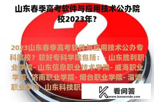 山东春季高考软件与应用技术公办院校2023年？