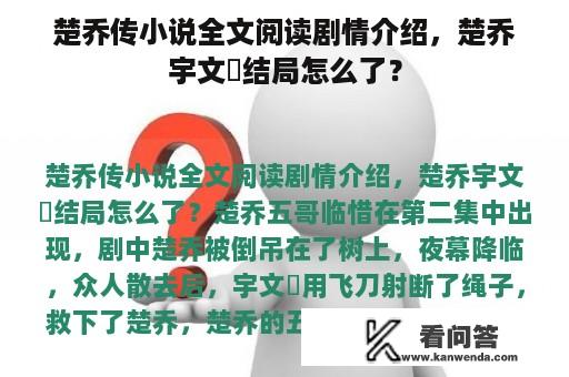 楚乔传小说全文阅读剧情介绍，楚乔宇文玥结局怎么了？