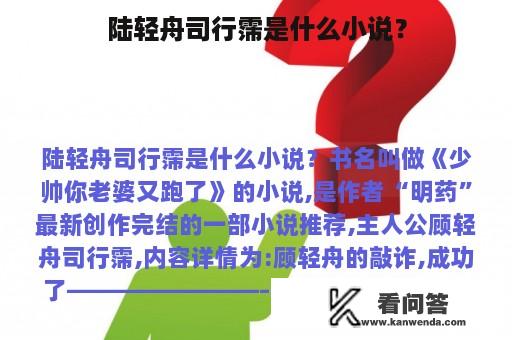 陆轻舟司行霈是什么小说？