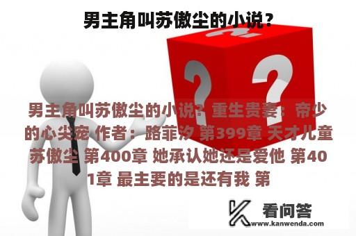 男主角叫苏傲尘的小说？