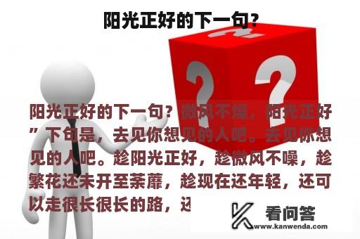 阳光正好的下一句？