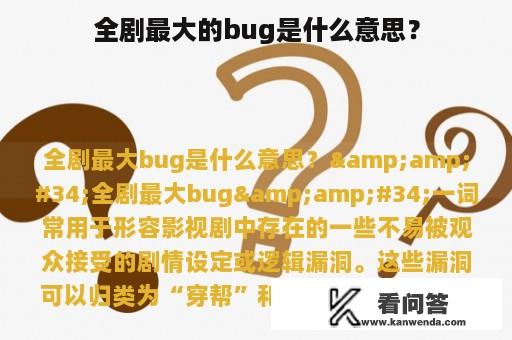 全剧最大的bug是什么意思？