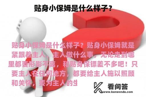 贴身小保姆是什么样子？