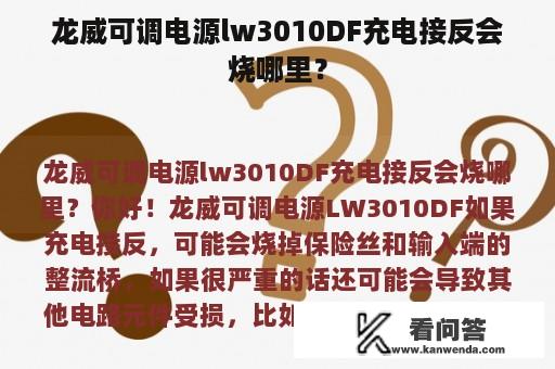 龙威可调电源lw3010DF充电接反会烧哪里？