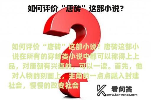 如何评价“唐砖”这部小说？