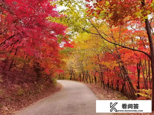 秋天哪里景色最多姿多彩？