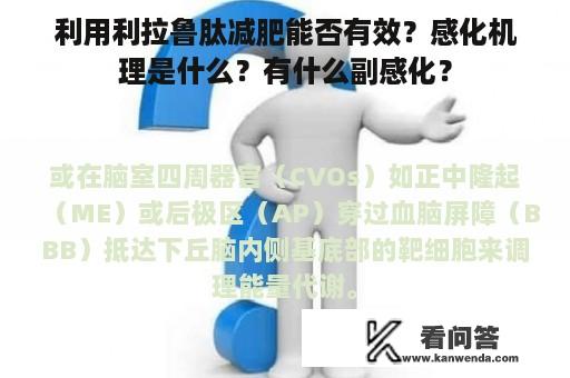 利用利拉鲁肽减肥能否有效？感化机理是什么？有什么副感化？