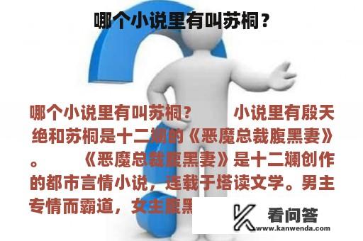 哪个小说里有叫苏桐？