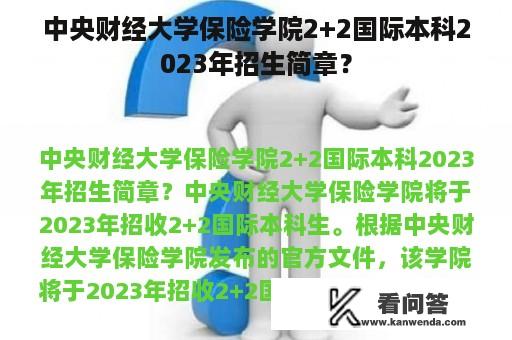 中央财经大学保险学院2+2国际本科2023年招生简章？