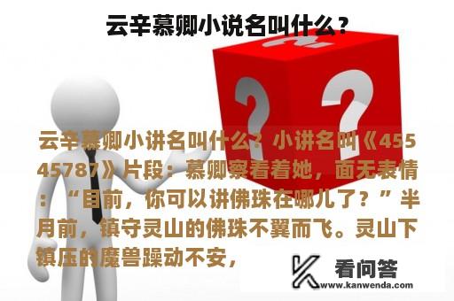 云辛慕卿小说名叫什么？