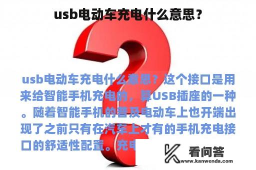 usb电动车充电什么意思？