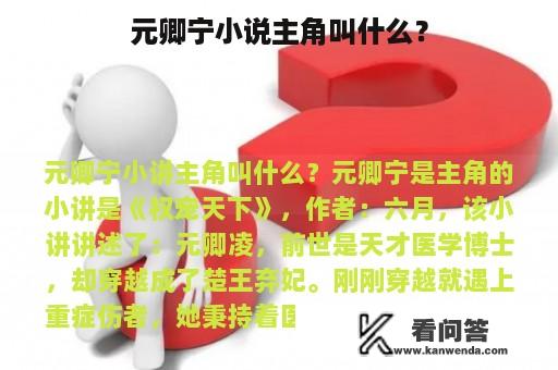 元卿宁小说主角叫什么？