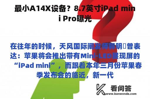 最小A14X设备？8.7英寸iPad mini Pro曝光