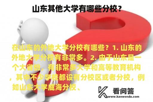 山东其他大学有哪些分校？