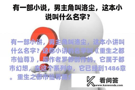 有一部小说，男主角叫洛尘，这本小说叫什么名字？