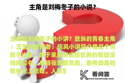 主角是刘梅冬子的小说？