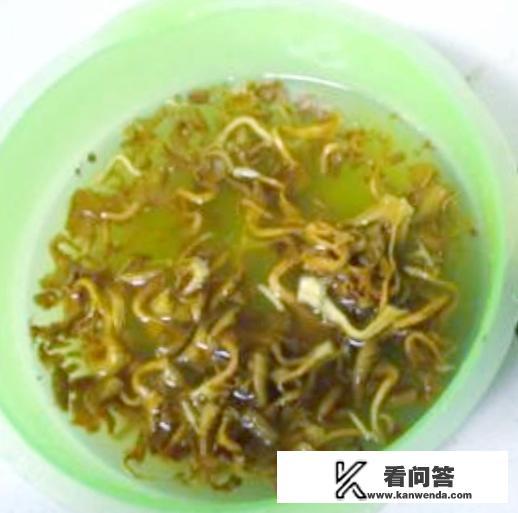 干鸡油菌的正确泡发方法？