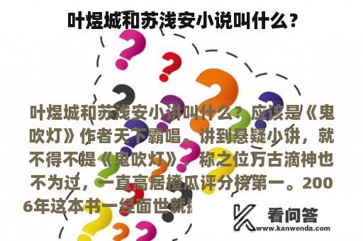 叶煜城和苏浅安小说叫什么？