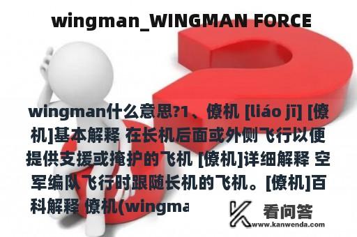  wingman_WINGMAN FORCE