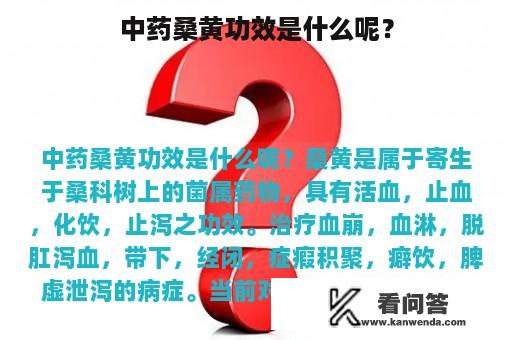 中药桑黄功效是什么呢？