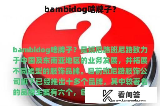 bambidog啥牌子？