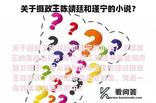 关于摄政王陈靖廷和瑾宁的小说？