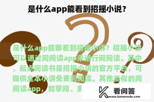 是什么app能看到招摇小说？