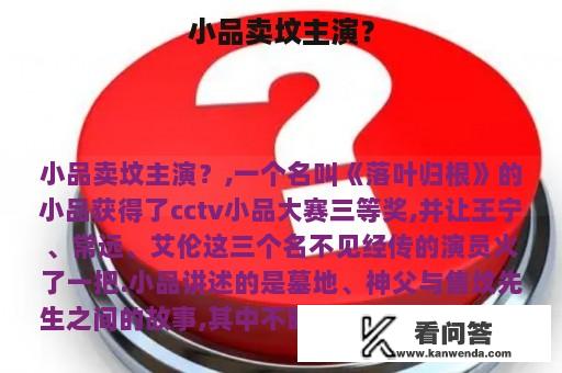 小品卖坟主演？