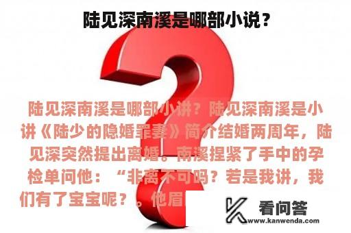 陆见深南溪是哪部小说？