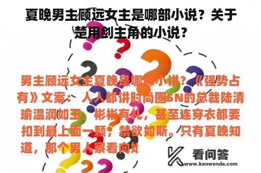 夏晚男主顾远女主是哪部小说？关于楚用剑主角的小说？