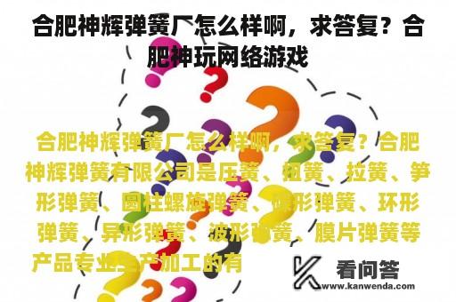 合肥神辉弹簧厂怎么样啊，求答复？合肥神玩网络游戏