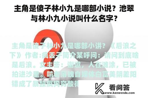 主角是傻子林小九是哪部小说？池翠与林小九小说叫什么名字？