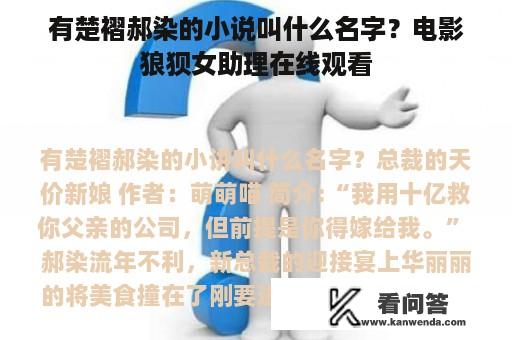 有楚褶郝染的小说叫什么名字？电影狼狈女助理在线观看