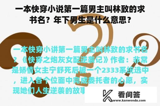 一本快穿小说第一篇男主叫林致的求书名？年下男生是什么意思？