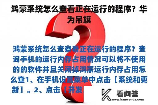 鸿蒙系统怎么查看正在运行的程序？华为吊旗