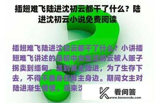 插翅难飞陆进沈初云都干了什么？陆进沈初云小说免费阅读