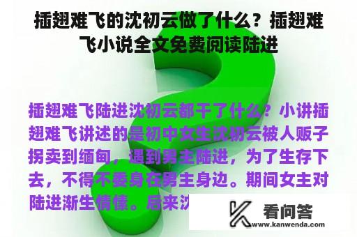 插翅难飞的沈初云做了什么？插翅难飞小说全文免费阅读陆进