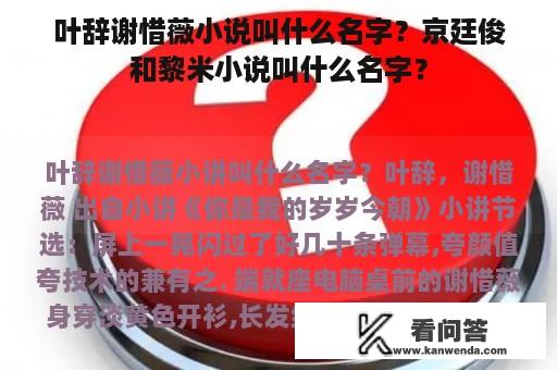 叶辞谢惜薇小说叫什么名字？京廷俊和黎米小说叫什么名字？