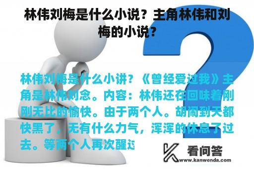 林伟刘梅是什么小说？主角林伟和刘梅的小说？