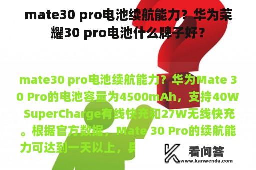 mate30 pro电池续航能力？华为荣耀30 pro电池什么牌子好？