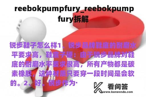  reebokpumpfury_reebokpumpfury拆解