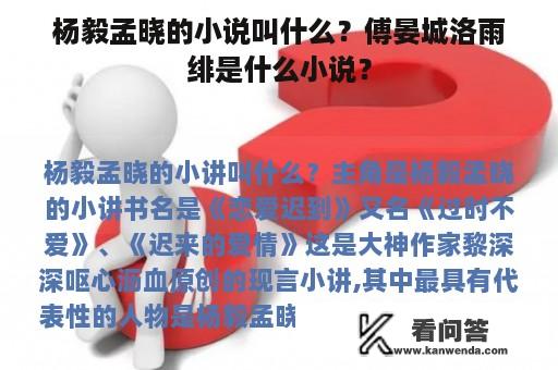 杨毅孟晓的小说叫什么？傅晏城洛雨绯是什么小说？