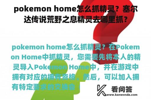 pokemon home怎么抓精灵？塞尔达传说荒野之息精灵去哪里抓？