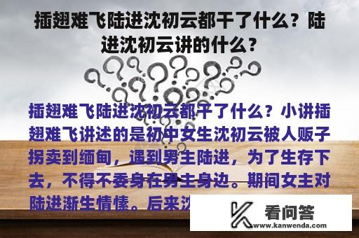 插翅难飞陆进沈初云都干了什么？陆进沈初云讲的什么？