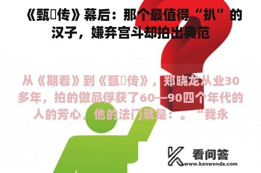 《甄嬛传》幕后：那个最值得“扒”的汉子，嫌弃宫斗却拍出典范