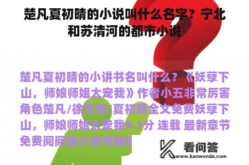 楚凡夏初晴的小说叫什么名字？宁北和苏清河的都市小说