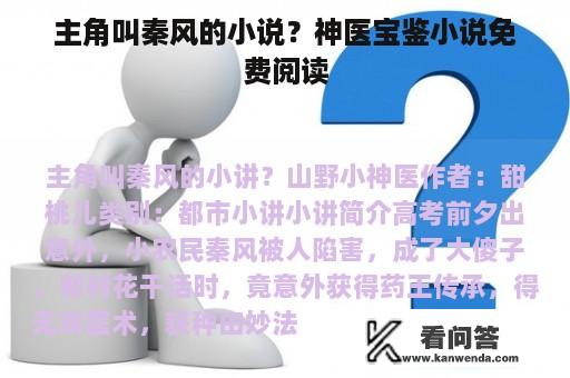 主角叫秦风的小说？神医宝鉴小说免费阅读