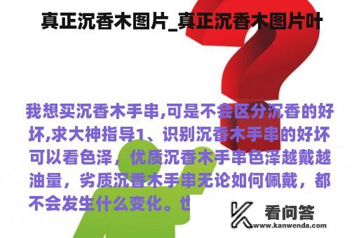  真正沉香木图片_真正沉香木图片叶