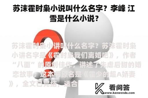 苏沫霍时枭小说叫什么名字？李峰 江雪是什么小说？