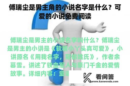 傅瑞尘是男主角的小说名字是什么？可爱的小说免费阅读